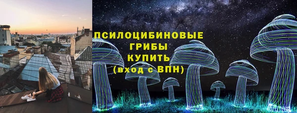 Альфа ПВП Богородск