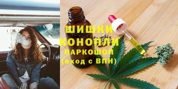 дурь Богданович