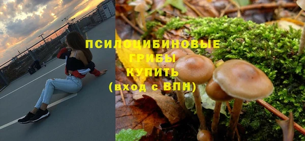 Альфа ПВП Богородск